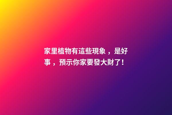 家里植物有這些現象，是好事，預示你家要發大財了！